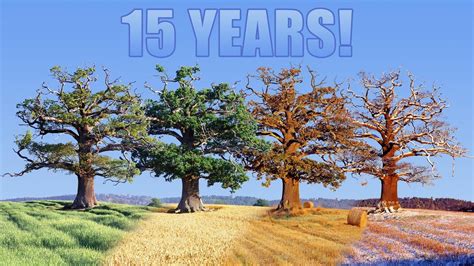 how-long-for-tree-to-grow-full-height full grown tree time lapse