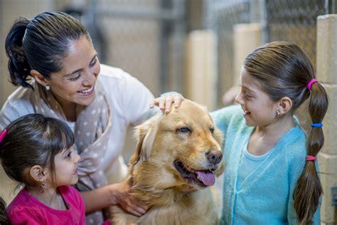 happy family adopting pet from shelter