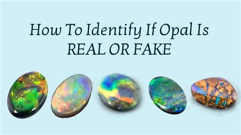 how-long-to-become-expert-opal-gemstones opal gemstones expert examination