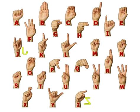 learn sign language fluently