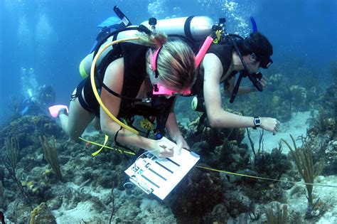 marine biology student studying ocean life