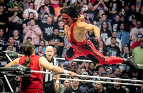 how-long-to-become-professional-wrestler-like-dustin-rhodes professional wrestler training
