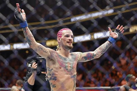 how-long-to-become-ufc-bantamweight-champion UFC Bantamweight champion fighting