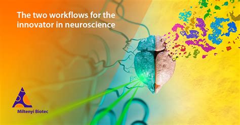 how-long-to-complete-phd-in-neuroscience complete-phd-neuroscience