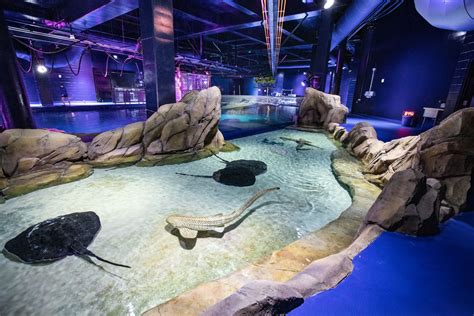 Georgia Aquarium exhibits exploration