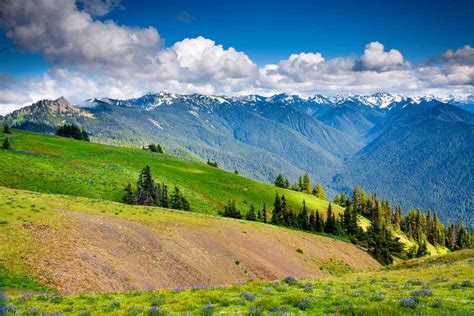 how-long-to-explore-olympic-national-park Olympic National Park landscapes
