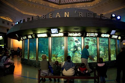 Shedd Aquarium marine exhibits