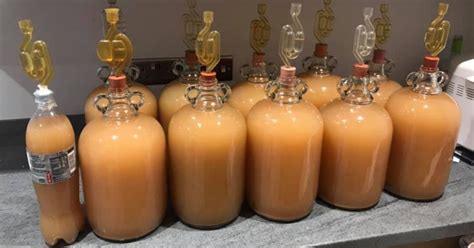 how-long-to-ferment-homemade-wine homemade wine fermentation time