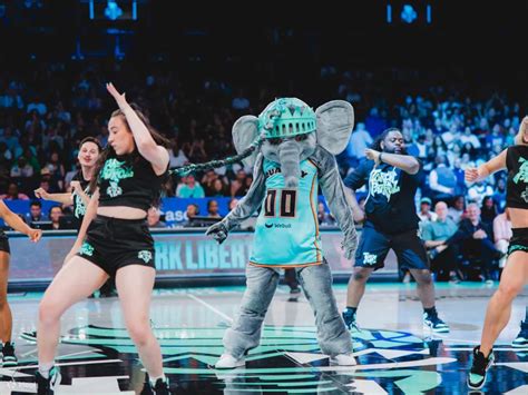 New York Liberty basketball game
