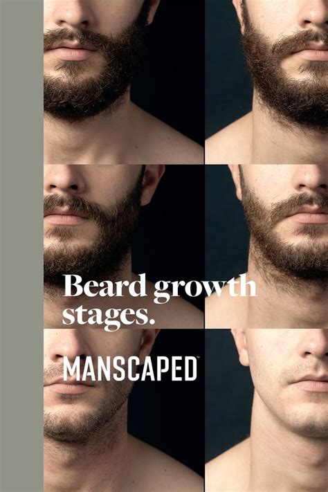 beard growth stages male