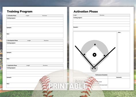 baseball strategy coaching session