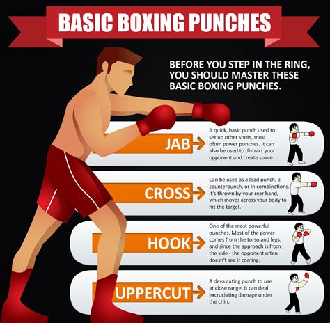 boxing rules tutorial