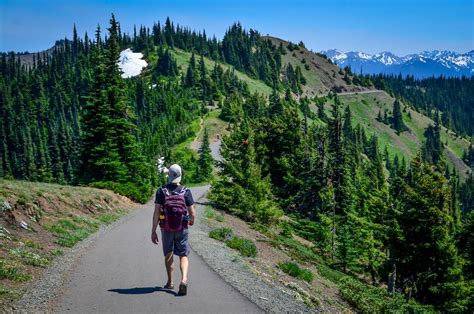 how-long-to-learn-olympic-national-park-hiking-trails Olympic National Park hiking trails