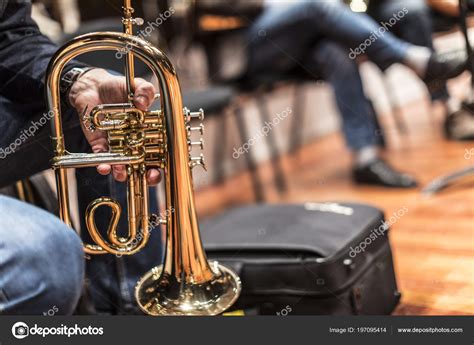 person playing flugelhorn jazz music