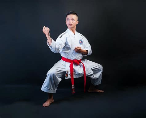 martial arts training fighting stance
