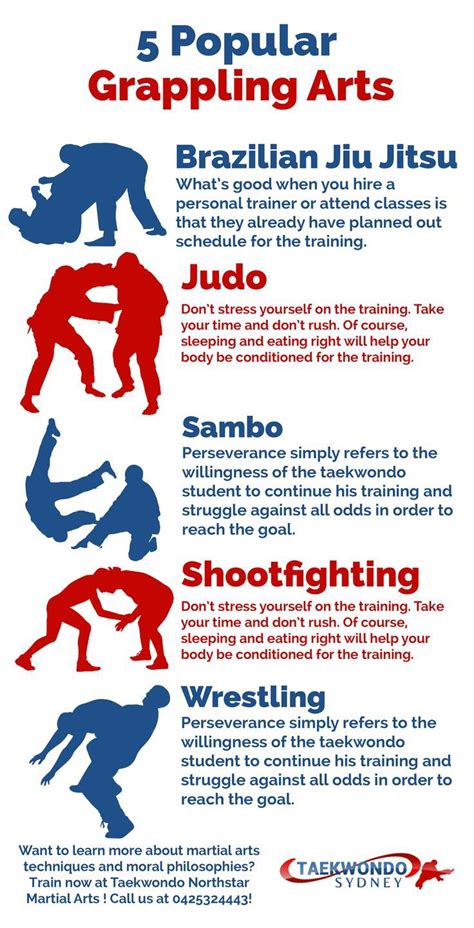 how-long-to-master-almabayev-fighting-techniques MMA grappling techniques training