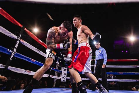 how-long-to-master-boxing-professional-level professional boxing training