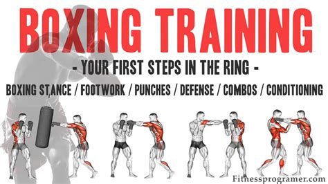 professional boxing training techniques