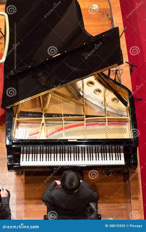how-long-to-master-christine-plante-playing-style pianist playing classical music