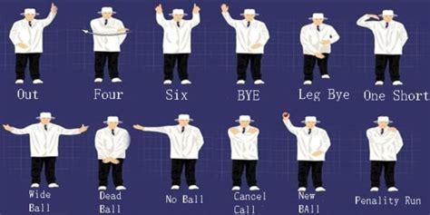 how-long-to-master-icc-cricket-rules cricket match umpire explaining rules