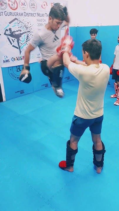 UFC fighter training MMA techniques