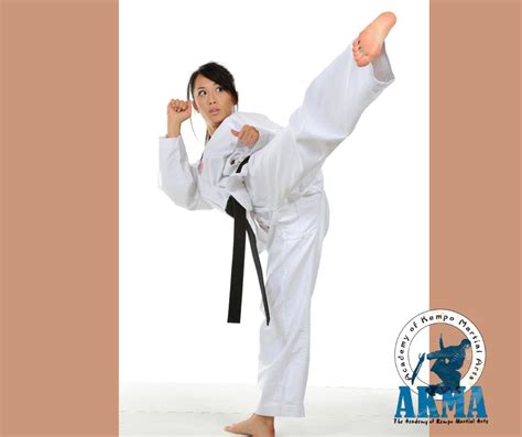 martial arts kick training