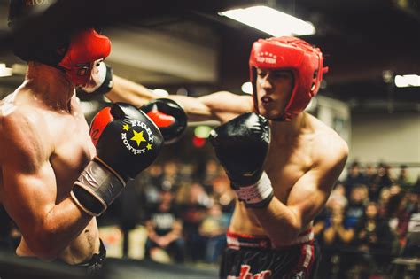 boxer training for match