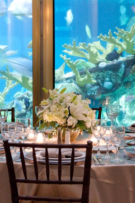 Shedd Aquarium event preparation