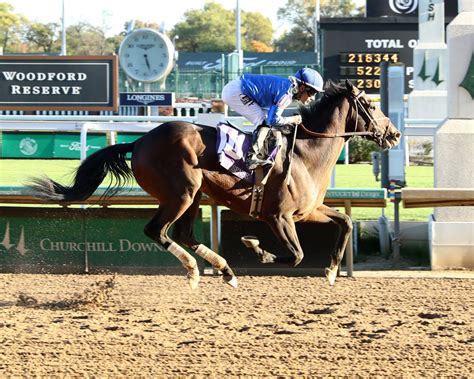 how-long-to-prepare-horse-for-jim-dandy-stakes-2025 racehorse training for stakes race
