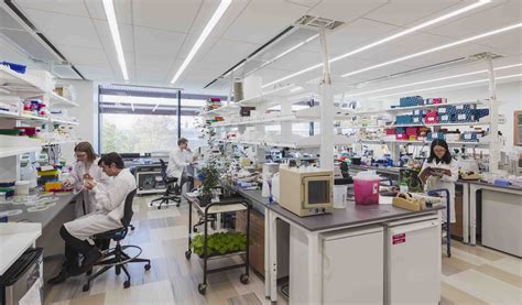 how-long-to-reach-shengjia-zhao-level-academic-research academic research lab