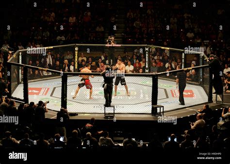 how-long-to-watch-bryce-mitchell-vs-said-nurmagomedov MMA fight octagon action